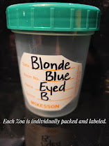 Blonde, Blue Eyed B (Zoanthid) 3 Polyp Frag----Free Shipping on Orders over $90